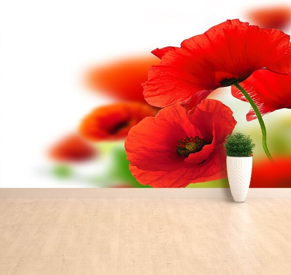 Carta da parati Poppies bianchi 104x70 cm
