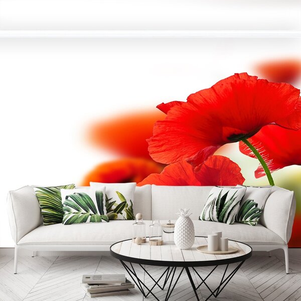 Carta da parati Poppies bianchi 104x70 cm