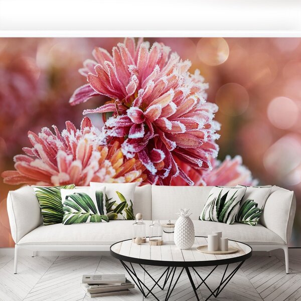 Carta da parati Aster rosa ghiaccio 104x70 cm