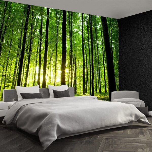 Carta da parati Foresta verde 104x70 cm
