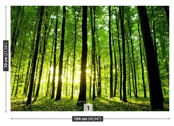 Carta da parati Foresta verde 104x70 cm