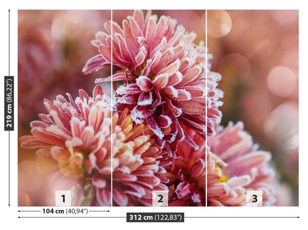 Carta da parati Aster rosa ghiaccio 104x70 cm