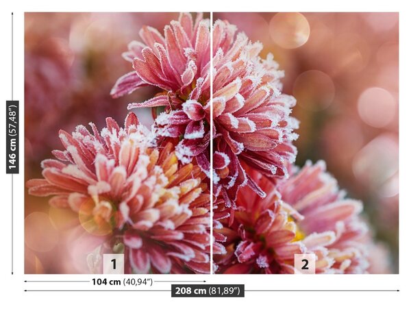 Carta da parati Aster rosa ghiaccio 104x70 cm