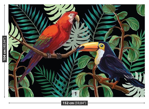 Carta da parati Ara toucan 104x70 cm