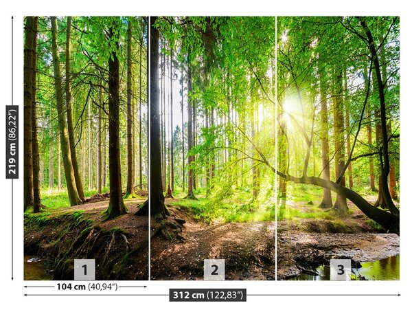 Carta da parati Foresta del sole 104x70 cm