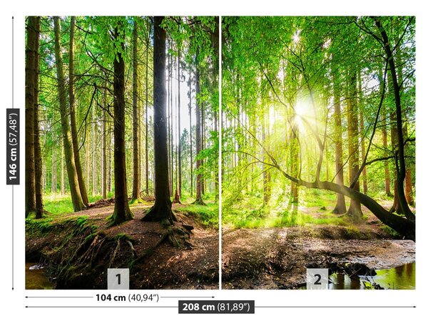 Carta da parati Foresta del sole 104x70 cm