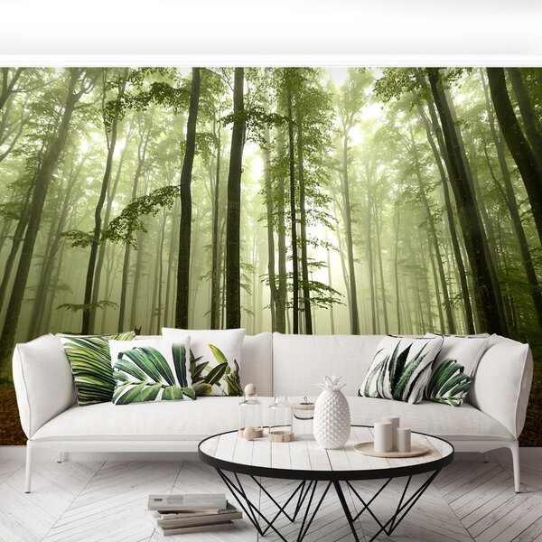 Carta da parati Foresta nebbiosa 104x70 cm