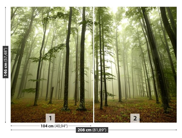 Carta da parati Foresta nebbiosa 104x70 cm