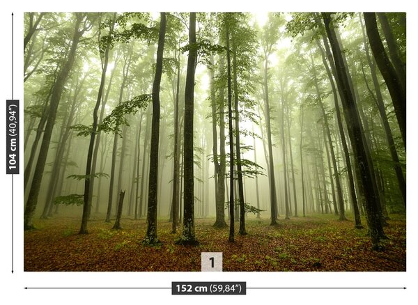 Carta da parati Foresta nebbiosa 104x70 cm