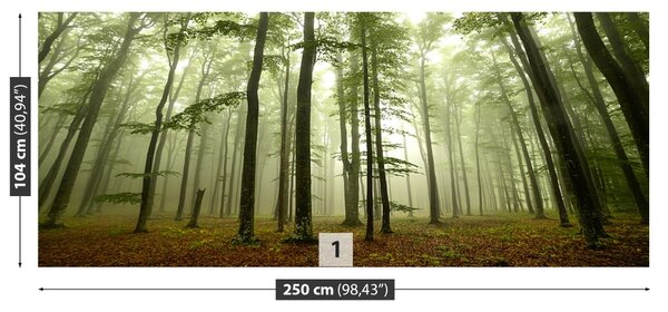 Carta da parati Foresta nebbiosa 104x70 cm
