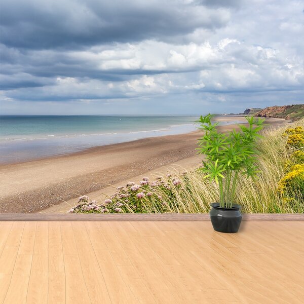 Carta da parati Beach Wybrzeże 104x70 cm