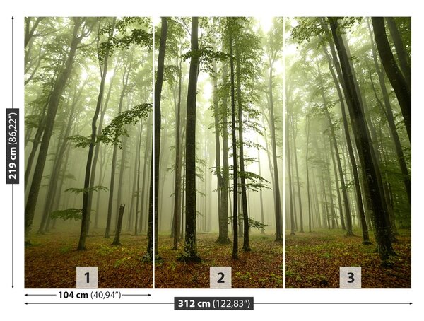 Carta da parati Foresta nebbiosa 104x70 cm