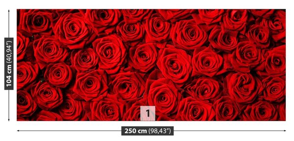 Carta da parati Rose rosse 104x70 cm
