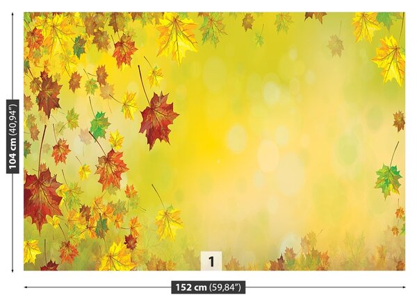 Carta da parati Foglie di caduta 104x70 cm