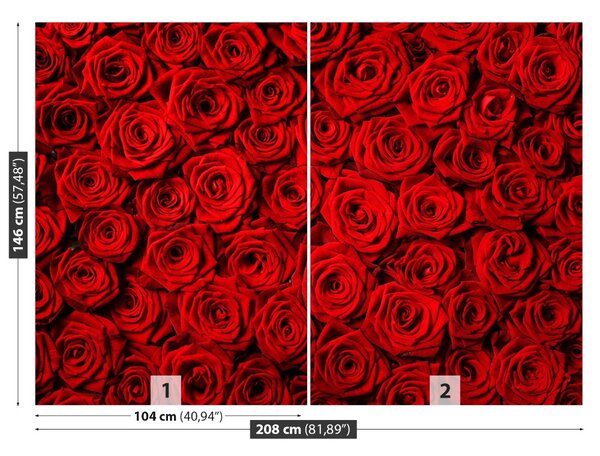 Carta da parati Rose rosse 104x70 cm