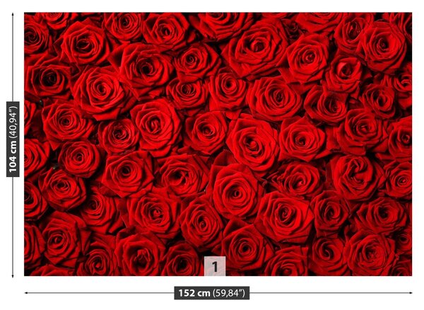Carta da parati Rose rosse 104x70 cm