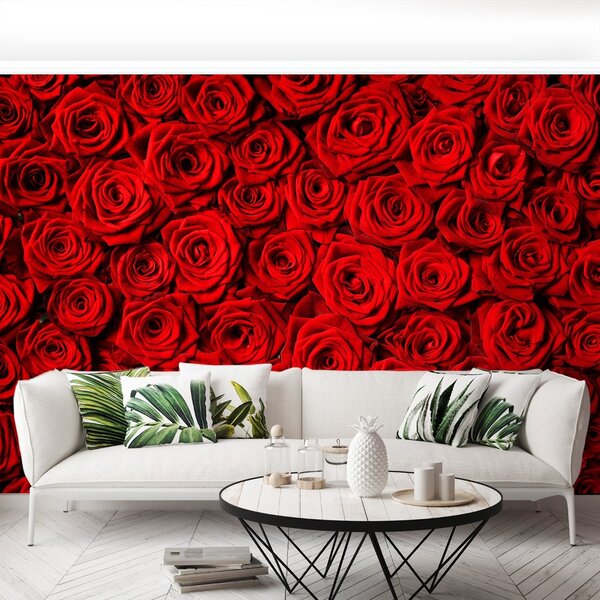 Carta da parati Rose rosse 104x70 cm