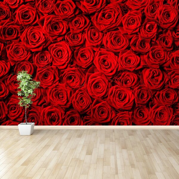 Carta da parati Rose rosse 104x70 cm