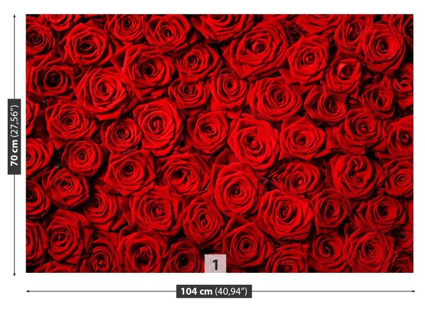 Carta da parati Rose rosse 104x70 cm
