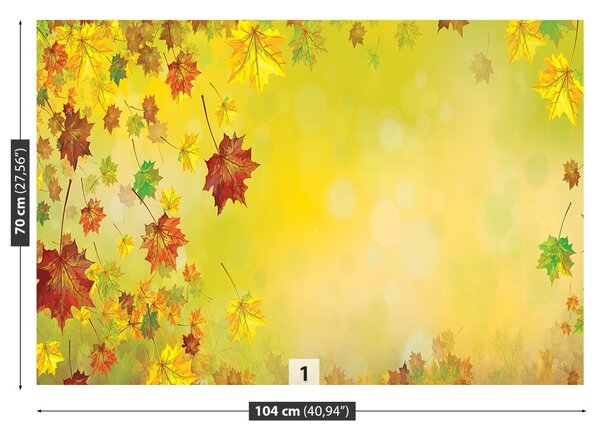 Carta da parati Foglie di caduta 104x70 cm
