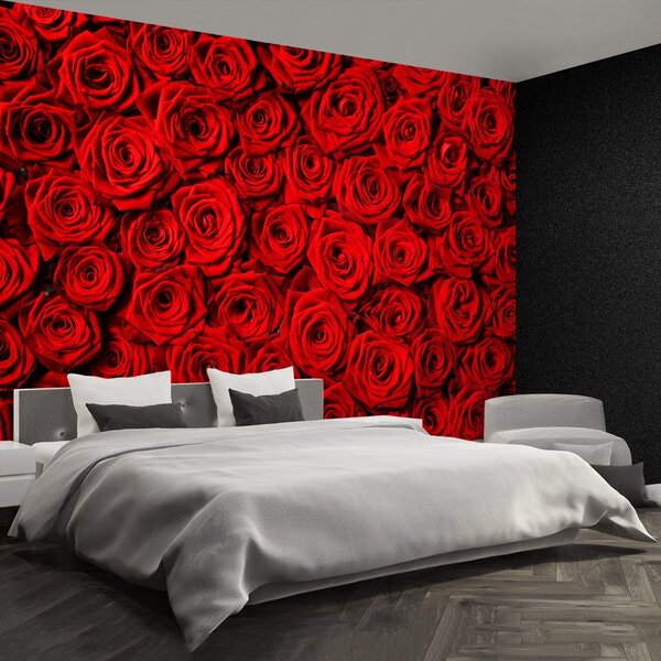 Carta da parati Rose rosse 104x70 cm