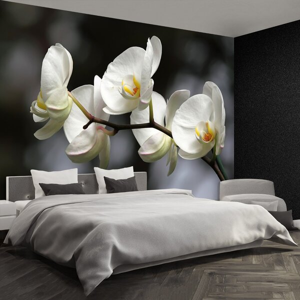 Carta da parati Orchidea bianca 104x70 cm