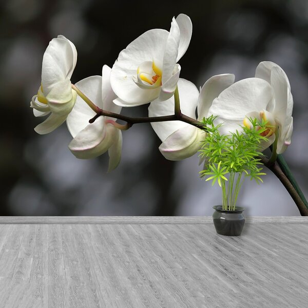 Carta da parati Orchidea bianca 104x70 cm