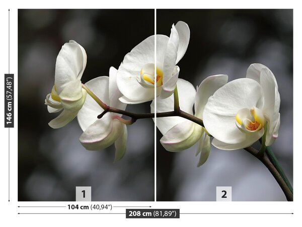 Carta da parati Orchidea bianca 104x70 cm