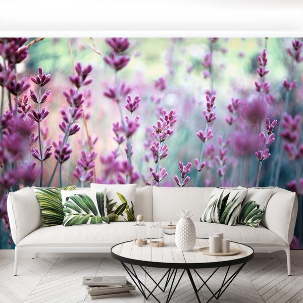 Carta da parati Lavanda verde 104x70 cm