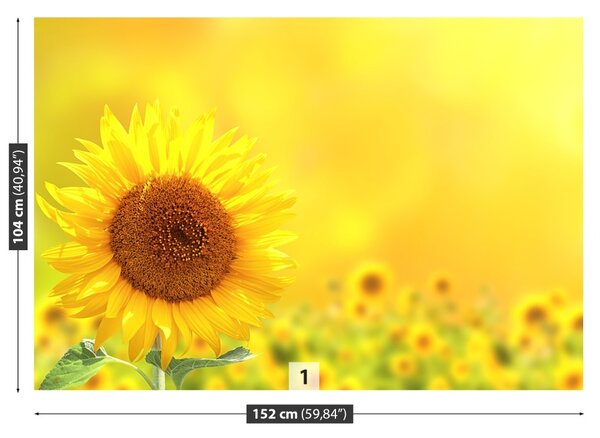Carta da parati Girasoli gialli 104x70 cm