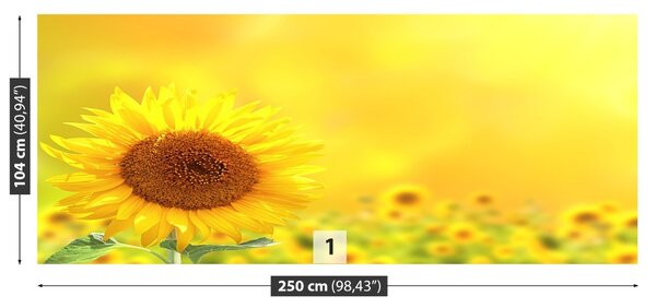 Carta da parati Girasoli gialli 104x70 cm