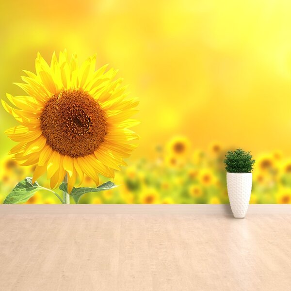 Carta da parati Girasoli gialli 104x70 cm