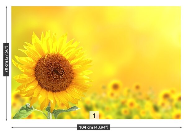 Carta da parati Girasoli gialli 104x70 cm
