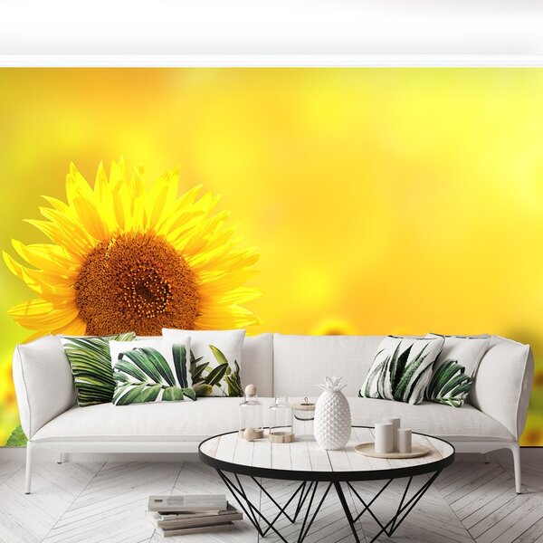 Carta da parati Girasoli gialli 104x70 cm