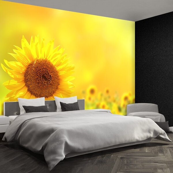 Carta da parati Girasoli gialli 104x70 cm