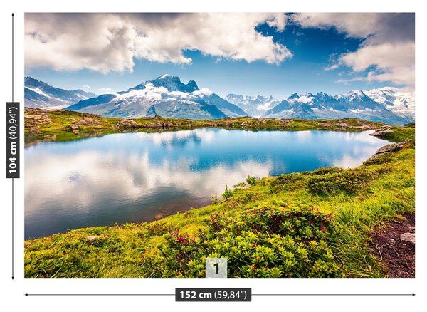 Carta da parati Mont Blanc 104x70 cm