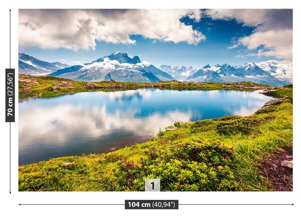 Carta da parati Mont Blanc 104x70 cm