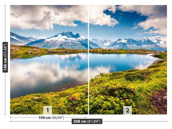 Carta da parati Mont Blanc 104x70 cm