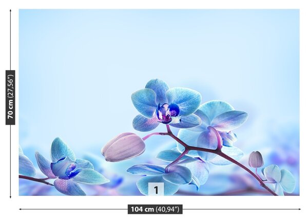 Carta da parati Orchidee tropicali 104x70 cm
