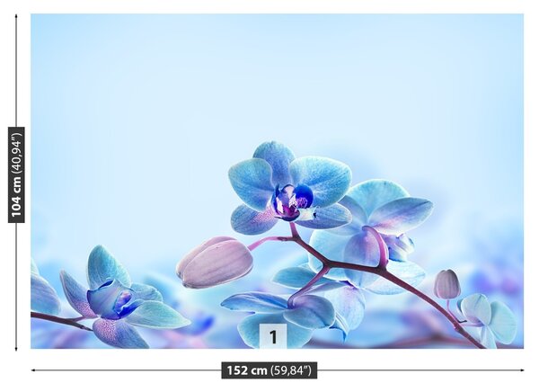Carta da parati Orchidee tropicali 104x70 cm