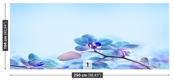 Carta da parati Orchidee tropicali 104x70 cm