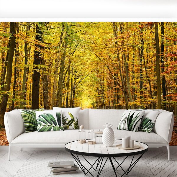 Carta da parati AUTUNGO AUTUNG 104x70 cm