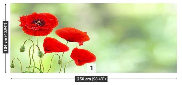 Carta da parati Poppies rossi 104x70 cm