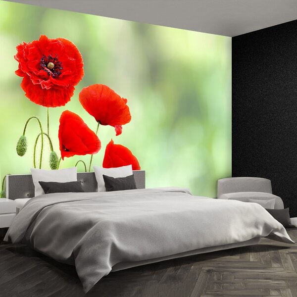 Carta da parati Poppies rossi 104x70 cm