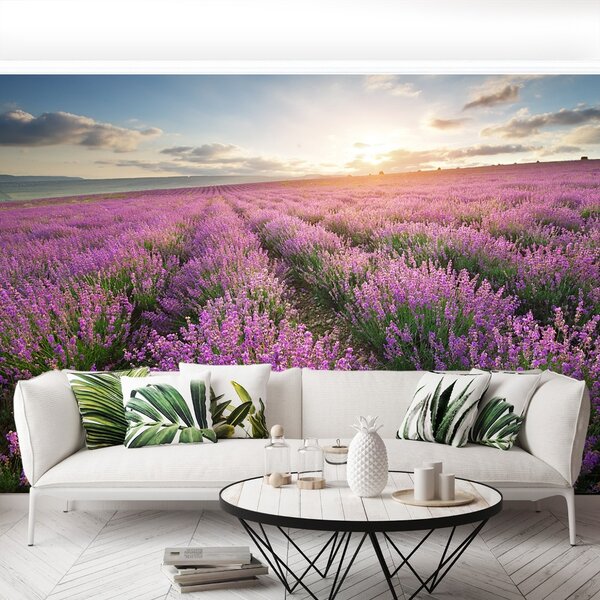 Carta da parati Lavender Meadow 104x70 cm