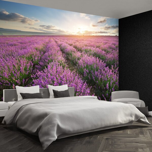 Carta da parati Lavender Meadow 104x70 cm