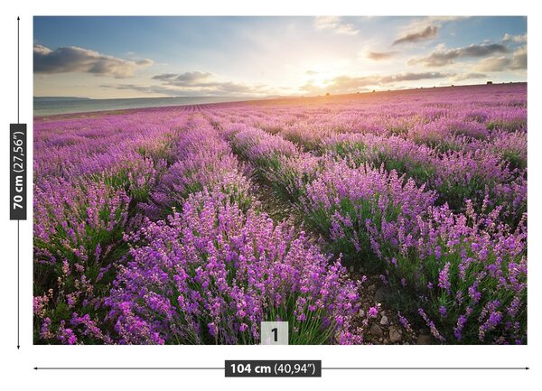 Carta da parati Lavender Meadow 104x70 cm