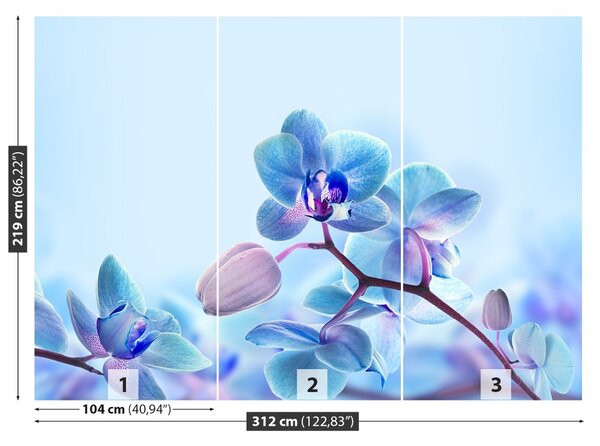 Carta da parati Orchidee tropicali 104x70 cm