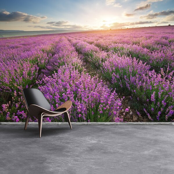 Carta da parati Lavender Meadow 104x70 cm