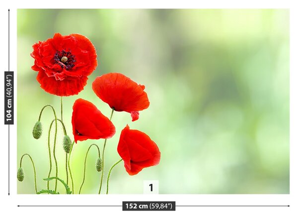 Carta da parati Poppies rossi 104x70 cm